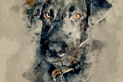 Digital-Dog-Portrait Commission