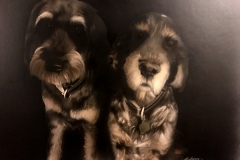 Dogs Portrait