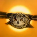 Eagle Owl by artist, illustrator and graphic designer Greg Whiteman