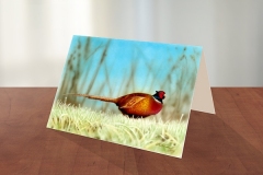 scbc-christmas-card