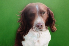 Dog Portrait