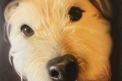 Dog Portrait