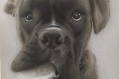 Dog Portrait
