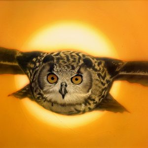 Sunset Owl Original Painting