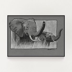 Elephants Sketch Print