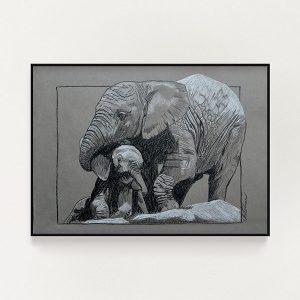 Elephant and Calf Sketch Print