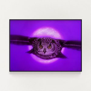 Moonlight Owl Print