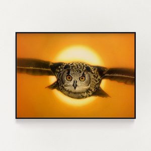 Sunset Owl Print