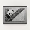 Panda Sketch 001