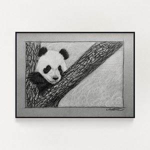Panda Sketch Print