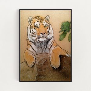 Tiger Sketch Print